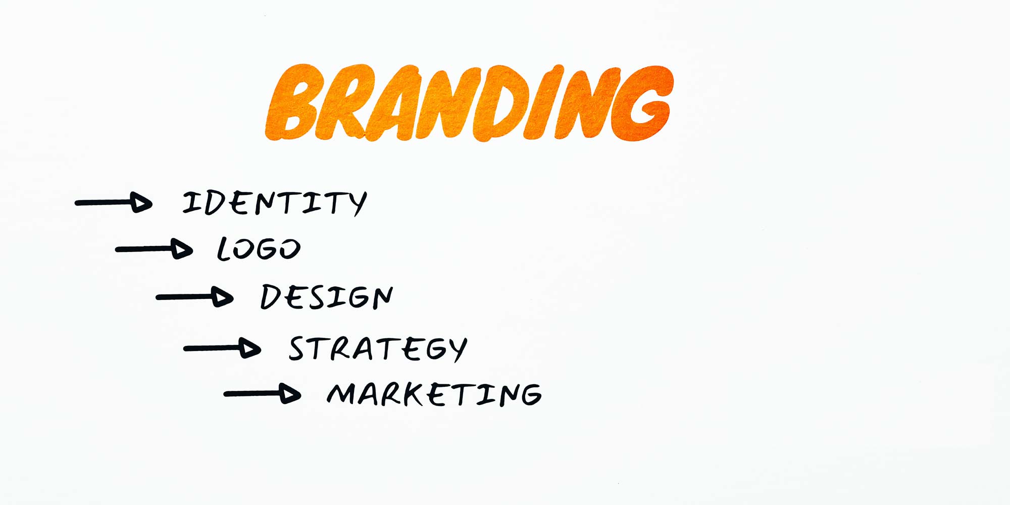 Zweezle Pioneering Business Branding with Creative Excellence