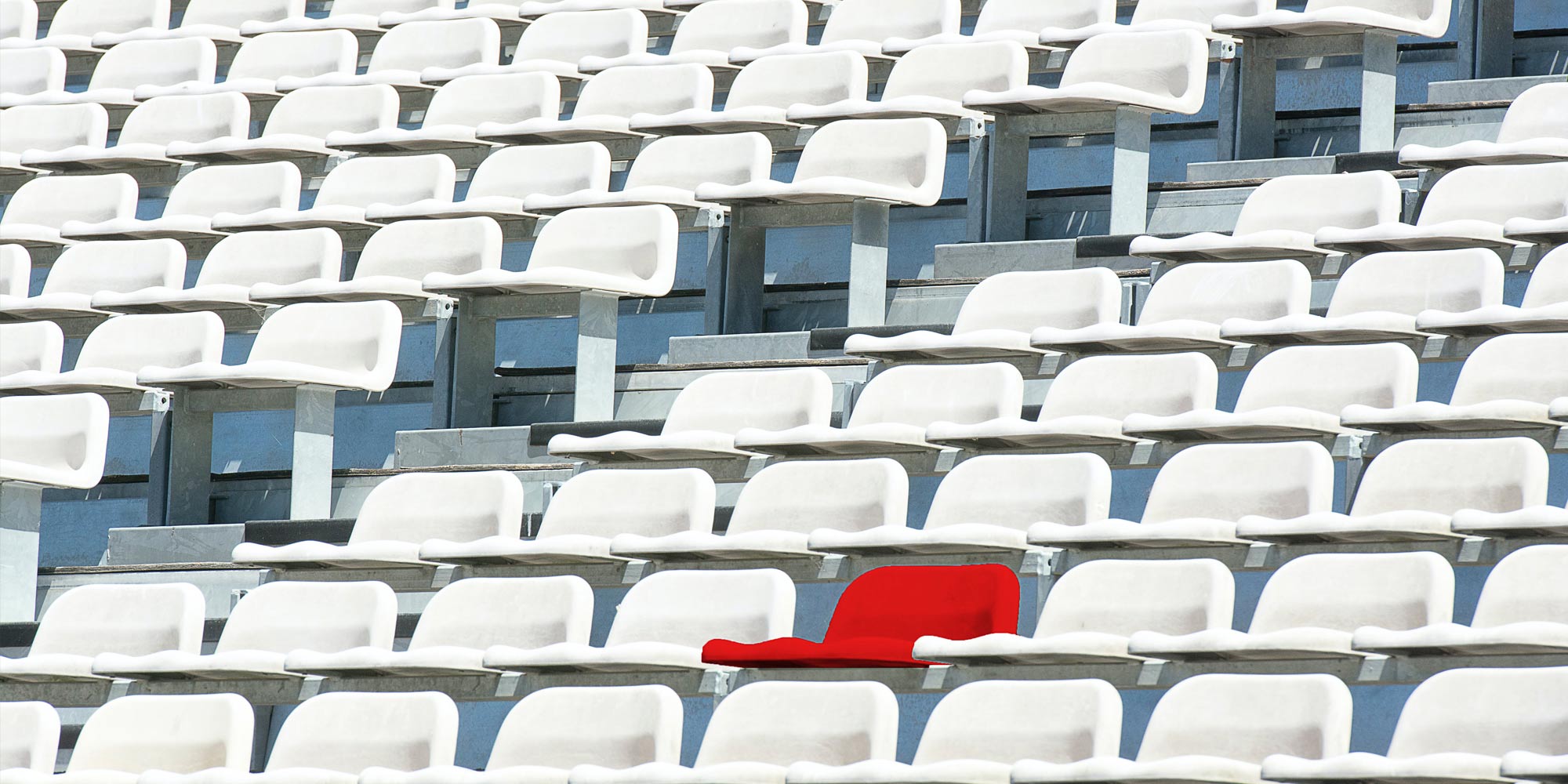 Zweezle Best Digital Marketing Agency