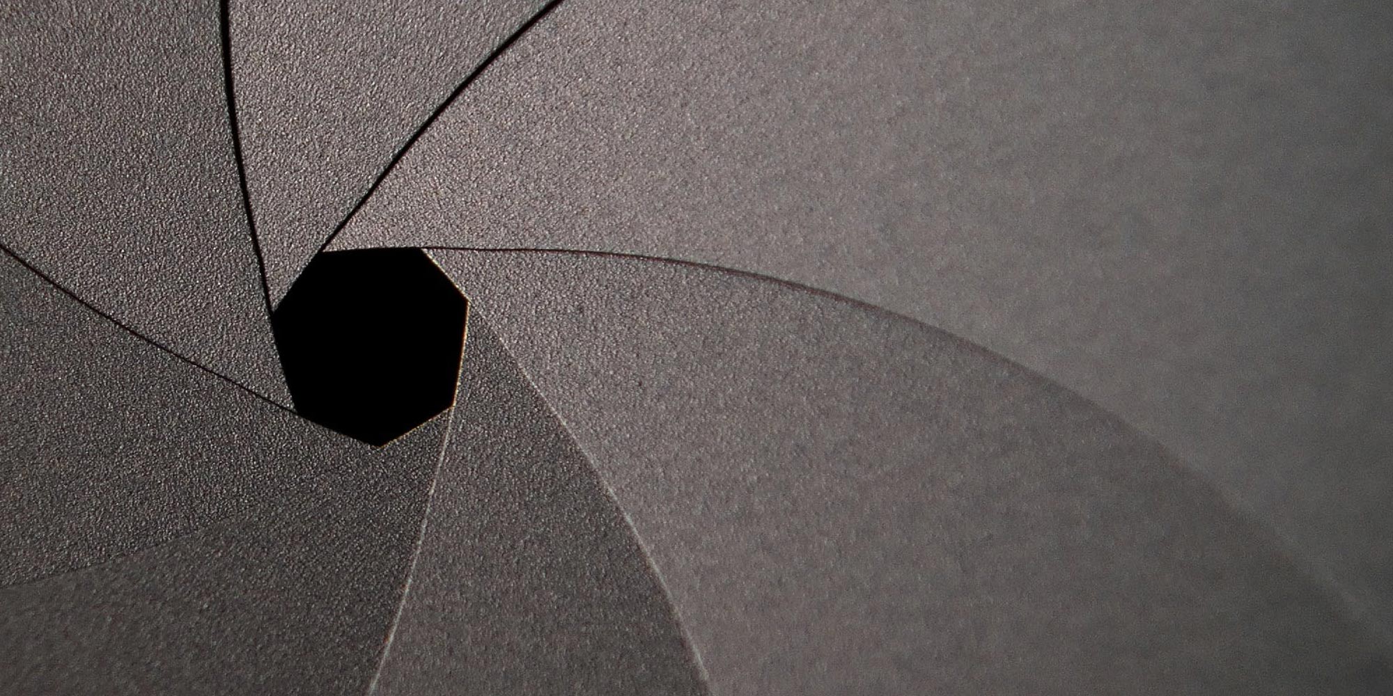 Zweezle Video Production Company