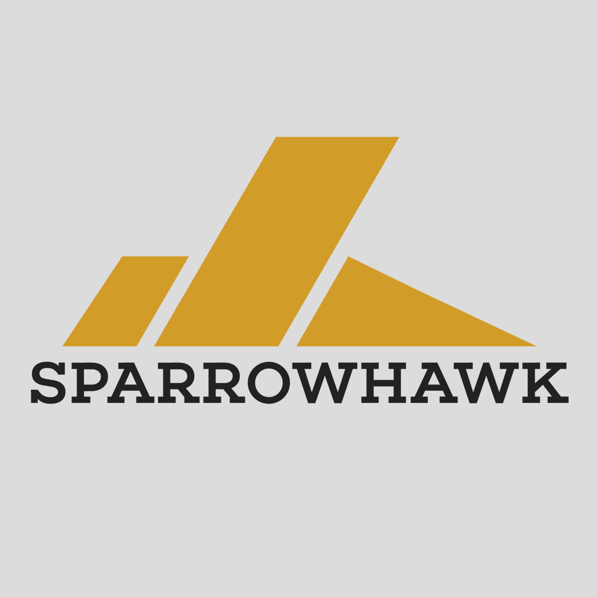 Branding Design Portfolio